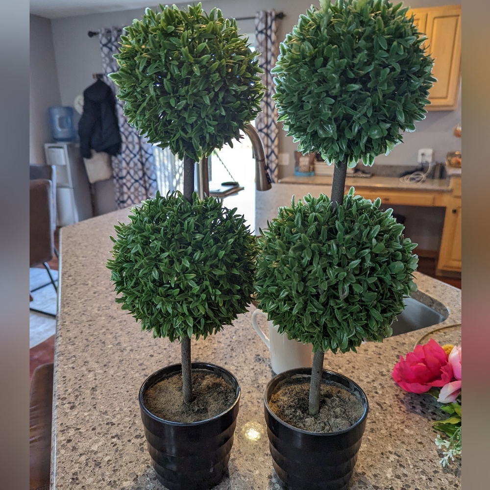 NWOT Topiary Trees